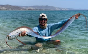 Oarfish