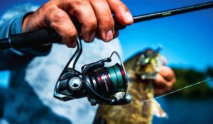 Baitcasting Reels