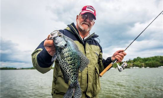 Best Crappie Bait